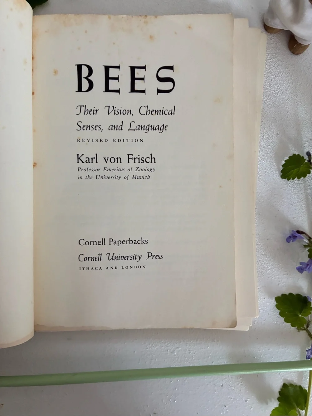 Bees by Karl von Frisch Vintage Paperback - 1971